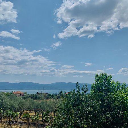 Bokas Exotic House Daire Tragana  Dış mekan fotoğraf