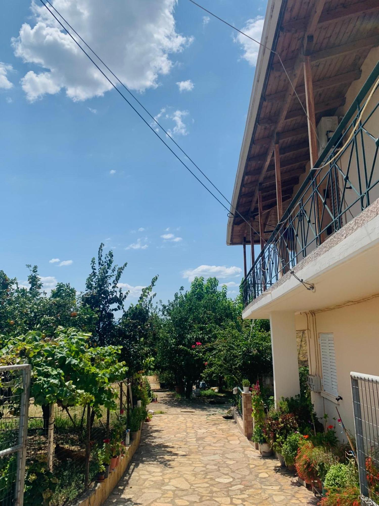 Bokas Exotic House Daire Tragana  Dış mekan fotoğraf