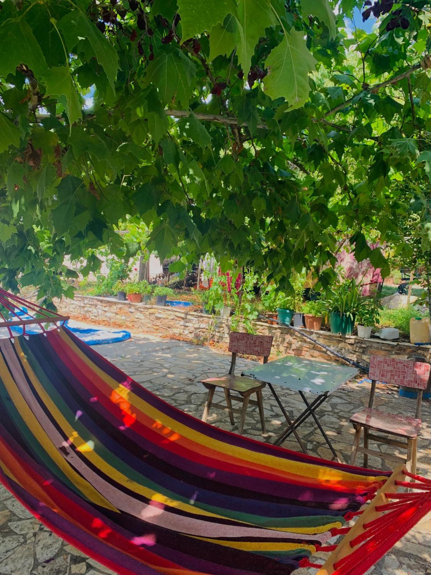 Bokas Exotic House Daire Tragana  Dış mekan fotoğraf