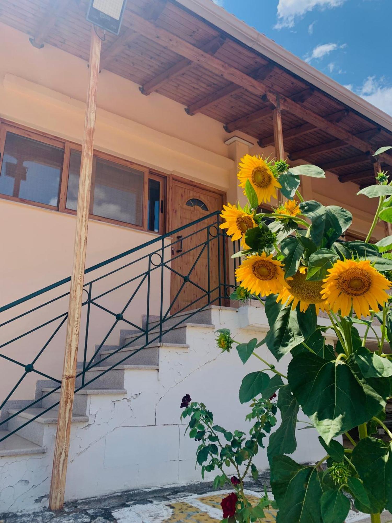 Bokas Exotic House Daire Tragana  Dış mekan fotoğraf
